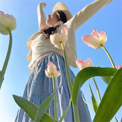 离开梦幻岛